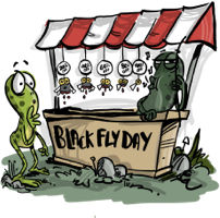 Black Fly Day